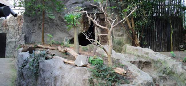 Parc Merveilleux Bettembourg