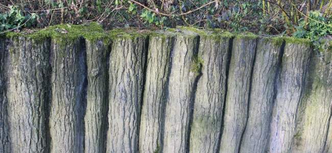 Parc Merveilleux Bettembourg