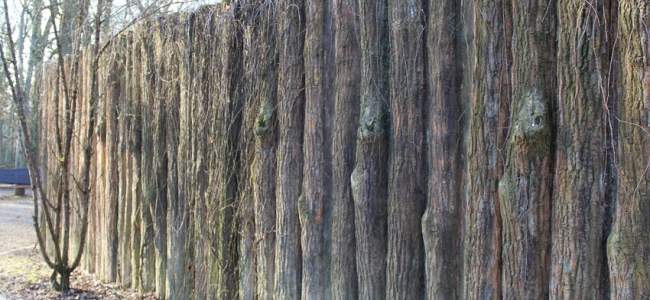 Parc Merveilleux Bettembourg